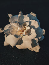 Load image into Gallery viewer, Gothic Queen. Gardenia Jasminoides Enfleurage by Cultivar. Rare. Fresh-wet, creamy-pearlescent, lotion-milk, rainforest, island air. Non-animalic, non-gourmand. August 2022