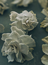Load image into Gallery viewer, Gothic Queen. Gardenia Jasminoides Enfleurage by Cultivar. Rare. Fresh-wet, creamy-pearlescent, lotion-milk, rainforest, island air. Non-animalic, non-gourmand. August 2022