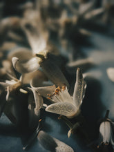 Load image into Gallery viewer, Enfleurage Sample Set: 12 Natural Perfumes. Wild Veil solid fragrances. Gift set. Exquisite floral.
