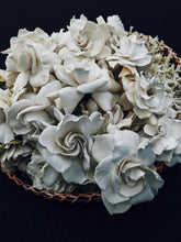 Load image into Gallery viewer, Gothic Queen. Gardenia Jasminoides Enfleurage by Cultivar. Rare. Fresh-wet, creamy-pearlescent, lotion-milk, rainforest, island air. Non-animalic, non-gourmand. August 2022
