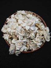 Load image into Gallery viewer, Gothic Queen. Gardenia Jasminoides Enfleurage by Cultivar. Rare. Fresh-wet, creamy-pearlescent, lotion-milk, rainforest, island air. Non-animalic, non-gourmand. August 2022