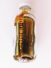 Load image into Gallery viewer, Speakeasy. botanical fragrance. January 2022