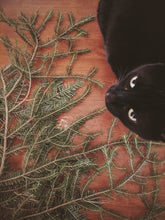 Load image into Gallery viewer, Black Cat. natural forest perfume. smoke, wild clove, lavender, frangipani, herbs, moss. February 2024