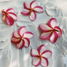 Load image into Gallery viewer, Plumeria Enfleurage.