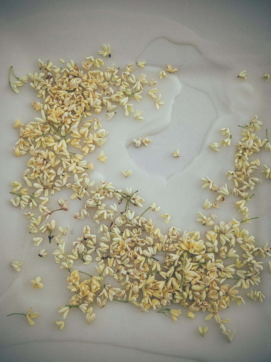 Hình ảnh phòng lab điều chế nước hoa, minh họa quá trình reformulation