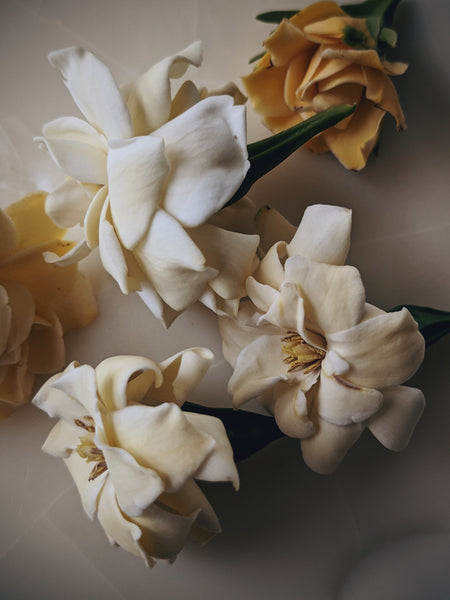 Gardenia enfleurage