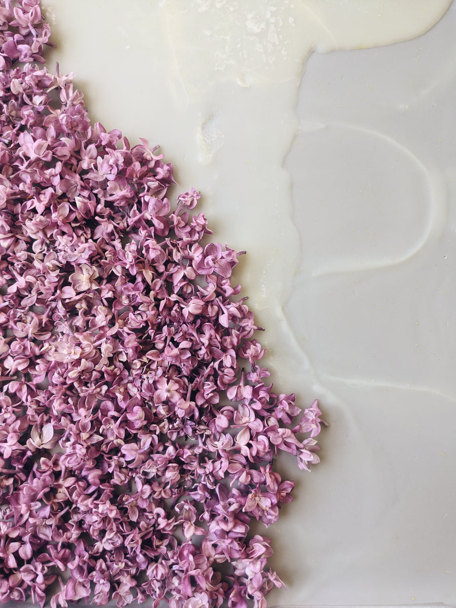 NEW! Lilac Enfleurage Primer: the Wild Veil Perfume technique.