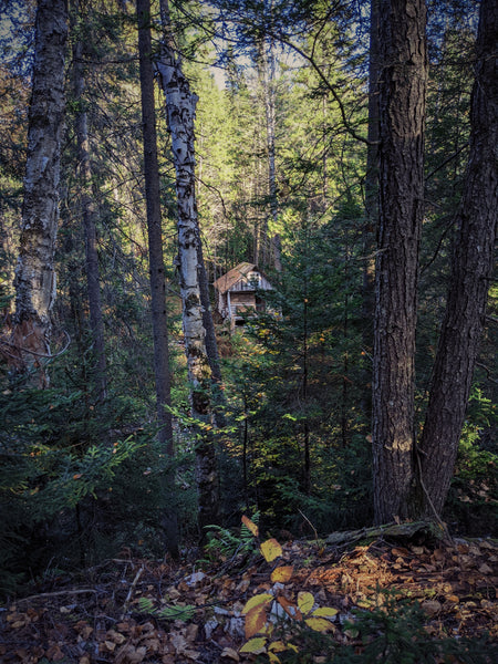 New perfume announcement: Log Cabin in the Woods. natural perfume. Wood smoke rises above the tree tops in the spruce-fir forest. Autumn is here.