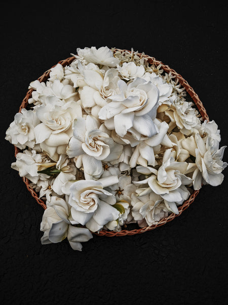 New enfleurage announcement: Gothic Queen. Gardenia Jasminoides Enfleurage by Cultivar. Rare. Fresh-wet, creamy-pearlescent, lotion-milk, rainforest, island air. Non-animalic, non-gourmand.