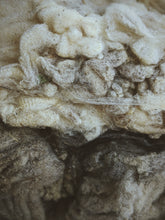 Load image into Gallery viewer, Musk Soliflore. natural perfume. single note tonqin musk perfume with rare, old stock and aged musk tonquin extracts. September 2026