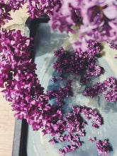 Load image into Gallery viewer, Charles Joly Lilac Enfleurage. By Cultivar. Spring 2026