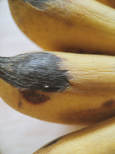 Load image into Gallery viewer, Banan Gris natural perfume. Banana, ambergris, salt, and air. In house extractions of beachcast ambergris. May 2026