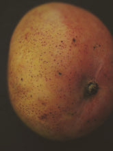 Load image into Gallery viewer, Tropical Gothic. limited edition natural perfume (50 available). dark tropical fruit perfume with in house, aged, rare extracts. young coconut meat; mangos 'Carabao,' 'Crème Brûlée,' 'Alphonso,' 'Mallika,' 'Carrie;' ginger; 12 year vanilla. January 2026