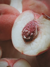 Load image into Gallery viewer, Peach Iris. enfleurage perfume. White Lady + Belle of Georgia peach, Vermont orris, osmanthus, rose. September 2026