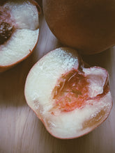Load image into Gallery viewer, Peach Iris. enfleurage perfume. White Lady + Belle of Georgia peach, Vermont orris, osmanthus, rose. September 2026