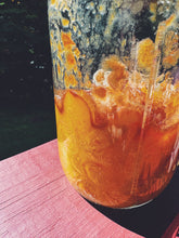 Load image into Gallery viewer, Mirabelle Plum Young Culture☽•☾ Whole fruit perfume extract. October 2026 Micro Release.