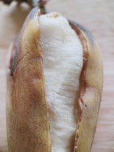 Load image into Gallery viewer, Banan Gris natural perfume. Banana, ambergris, salt, and air. In house extractions of beachcast ambergris. May 2026
