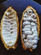 Load image into Gallery viewer, Tropical Gothic. limited edition natural perfume (50 available). dark tropical fruit perfume with in house, aged, rare extracts. young coconut meat; mangos 'Carabao,' 'Crème Brûlée,' 'Alphonso,' 'Mallika,' 'Carrie;' ginger; 12 year vanilla. January 2026