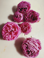 Rosichor. Vedic rose + petrichor natural perfume. April 2024