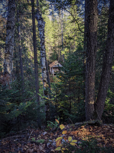 Log Cabin in the Woods. natural perfume. wood smoke rises above the tree tops in the spruce-fir forest. autumn is here.
