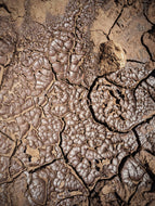 Petrichor Soliflore. natural perfume. single note petrichor perfume with in house mitti extracts. July 2024