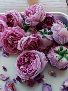 Rosichor. Vedic rose + petrichor natural perfume. April 2024