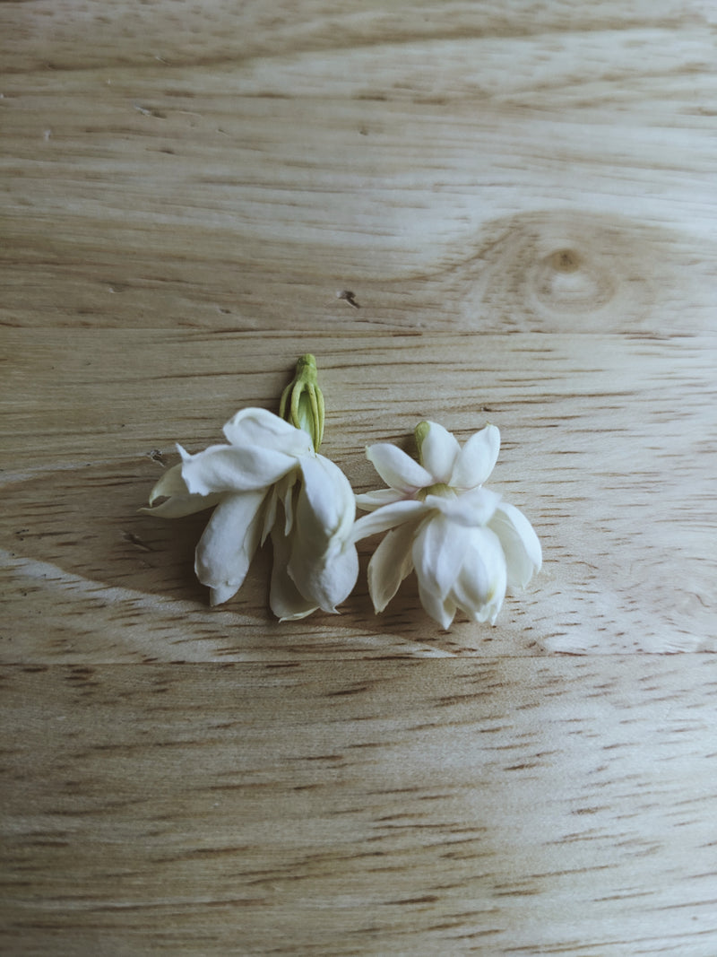 Jasmine Sambac Soliflore. Concentrated Jasminum sambac natural perfume with in house aromatic extracts. Creamy white pet