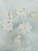 Load image into Gallery viewer, Jasmine Sambac Soliflore. Concentrated Jasminum sambac natural perfume with in house aromatic extracts. Creamy white petals. Golden nectar. Soft tea. Honey. Warm skin. Tropical fruit. June 2026