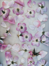 Load image into Gallery viewer, Musk Rose Enfleurage. Scent is of white wines from the Languedoc region, with a dry, tangy, and briny profile like sun-baked sand bearing the impression of dried sea foam. June 2024