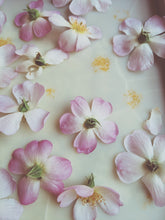 Load image into Gallery viewer, Musk Rose Enfleurage. Scent is of white wines from the Languedoc region, with a dry, tangy, and briny profile like sun-baked sand bearing the impression of dried sea foam. June 2024