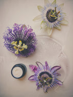 Passion Flower Soliflore. single note passion flower perfume. earthy, salty, tender, erotic, sweet. Created with an enfleurage of passion flowers from the perfume gardens. July 2024
