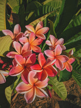 Load image into Gallery viewer, Peach Plumeria Enfleurage. Made exclusively with the flowers from a peach scented plumeria cultivar grown in the Wild Veil Perfume gardens in volcanic soil. Summer 2024.