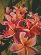 Load image into Gallery viewer, Peach Plumeria Enfleurage. Made exclusively with the flowers from a peach scented plumeria cultivar grown in the Wild Veil Perfume gardens in volcanic soil. Summer 2024.