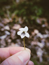 Load image into Gallery viewer, White Violets Soliflore. limited edition natural perfume (29 left). single note wild Viola blanda and pallens perfume with in house enfleurage and rare extracts. November 2025