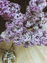 Load image into Gallery viewer, President Lincoln Lilac Enfleurage. By Cultivar. Spring 2026