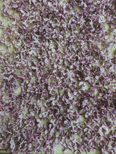 Load image into Gallery viewer, President Lincoln Lilac Enfleurage. By Cultivar. Spring 2026
