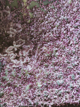 Load image into Gallery viewer, President Lincoln Lilac Enfleurage. By Cultivar. Spring 2026