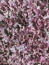 Load image into Gallery viewer, Monge Lilac Enfleurage. By Cultivar. Spring 2026