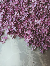 Load image into Gallery viewer, Monge Lilac Enfleurage. By Cultivar. Spring 2026