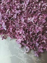 Load image into Gallery viewer, Monge Lilac Enfleurage. By Cultivar. Spring 2026