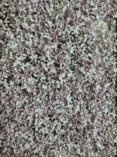 Load image into Gallery viewer, Lucie Baltet Lilac Enfleurage. By Cultivar. Spring 2026