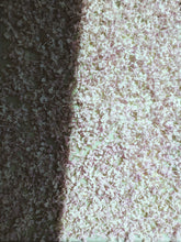Load image into Gallery viewer, Lucie Baltet Lilac Enfleurage. By Cultivar. Spring 2026