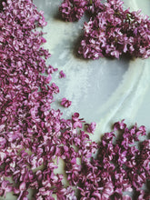 Load image into Gallery viewer, Charles Joly Lilac Enfleurage. By Cultivar. Spring 2026