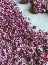 Load image into Gallery viewer, Charles Joly Lilac Enfleurage. By Cultivar. Spring 2026