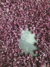 Load image into Gallery viewer, Charles Joly Lilac Enfleurage. By Cultivar. Spring 2026