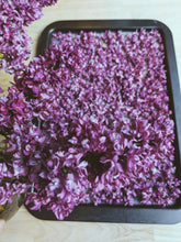 Load image into Gallery viewer, Charles Joly Lilac Enfleurage. By Cultivar. Spring 2026