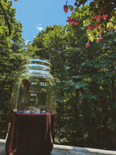 Load image into Gallery viewer, Satsuma Plum. natural perfume. Satsuma plum, Hinoki wood, Hiba cedar, Japanese rose, and Shimoyama First Flush Sencha tea. July 2026