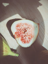 Load image into Gallery viewer, Fig Milk. F/W 2026 natural perfume. Kadota + Desert King.