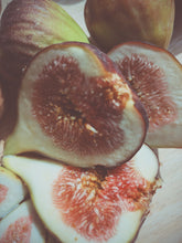 Load image into Gallery viewer, Fig Milk. F/W 2026 natural perfume. Kadota + Desert King.