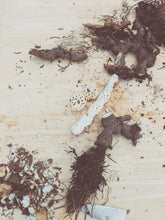 Load image into Gallery viewer, Nectarium. F/W 2026 natural perfume. spontaneously fermented Crème Brûlée mango · Japanese Purple Leaf Honeysuckle enfleurage · Chin Shin Oolong flower enfleurage · aged Ali Shan Jin Xuan · woodland bee pollen · Iris pallida orris · sandalwood · musk